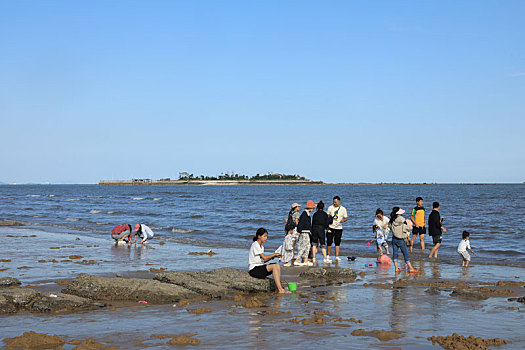 山东省日照市,游客赶海拾贝,踏浪嬉水,桃花岛成国庆节热门打卡地