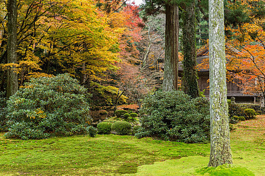 日本寺庙,秋季