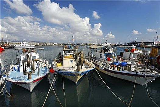 渔船,港口,帕福斯,塞浦路斯,欧洲