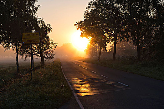 日出,晨雾,乡间小路,靠近,下萨克森,德国,欧洲