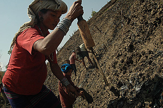 怀孕,部族,女人,工作,地点,孟加拉,四月,2007年