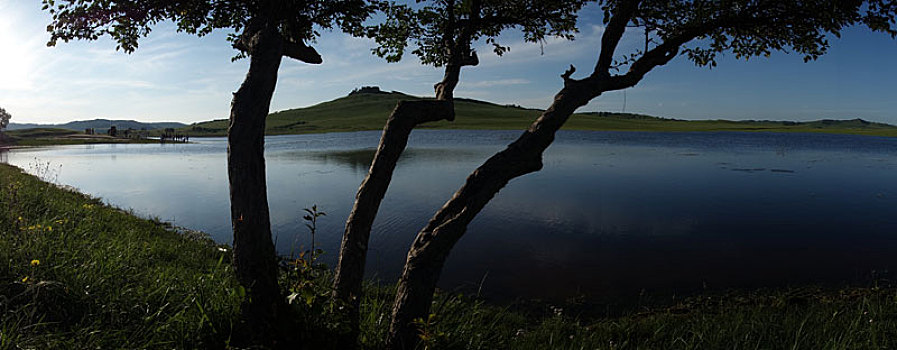 野鸭湖