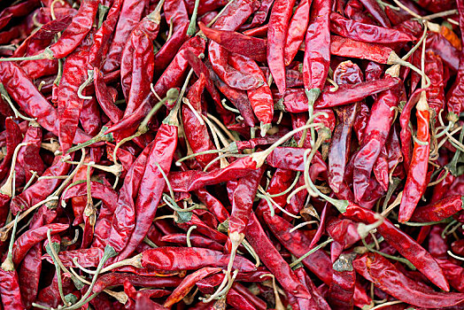 红色,辣椒,拉贾斯坦邦,印度,亚洲