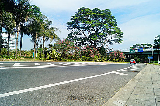 深圳滨海大道景观