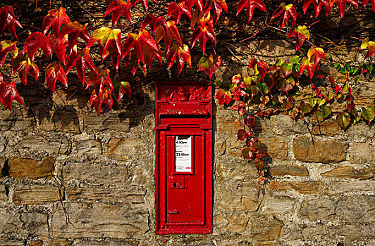 红色,邮箱,墙壁,秋天,彩色