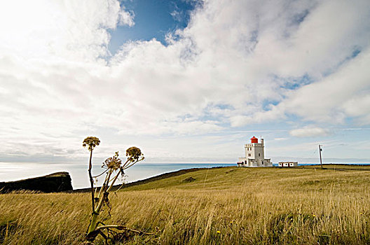 灯塔,靠近,维克,南方,冰岛,斯堪的纳维亚,欧洲