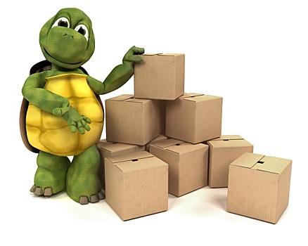 龟,盒子,运输
