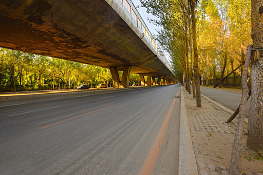 逆光下,立交桥下的沥青道路,汽车广告道路素材