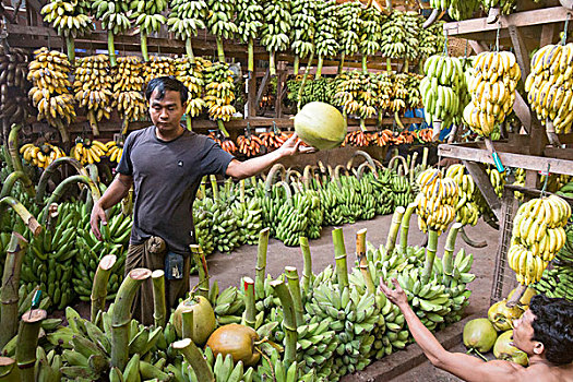 亚洲,缅甸,仰光,市场,食物,水果,香蕉