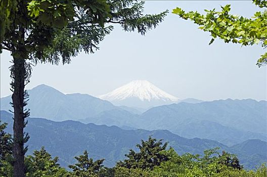 积雪,富士山,风景,远足,场地,东京