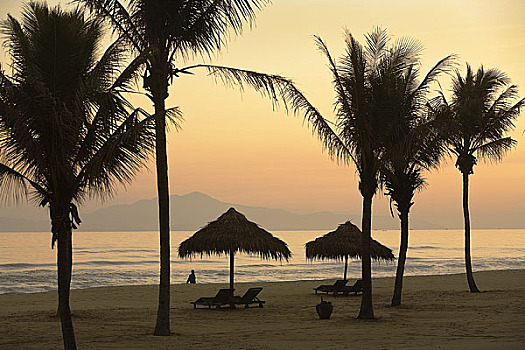 棕榈树,海滩,惠安,越南
