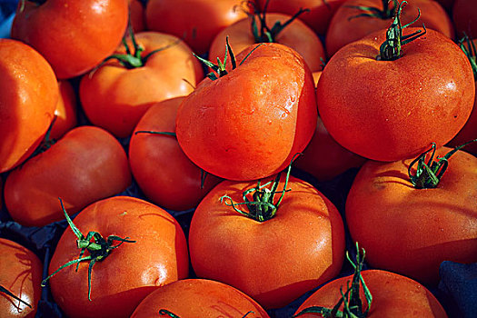 西红柿,全画幅,特写