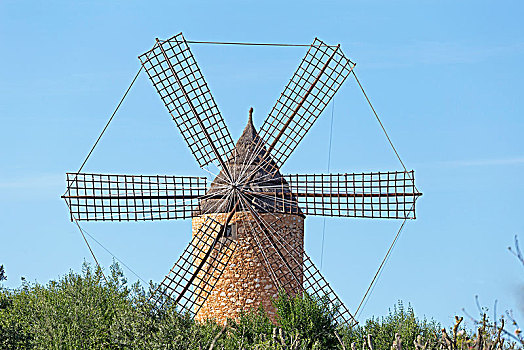 风车,靠近,马略卡岛,西班牙,欧洲