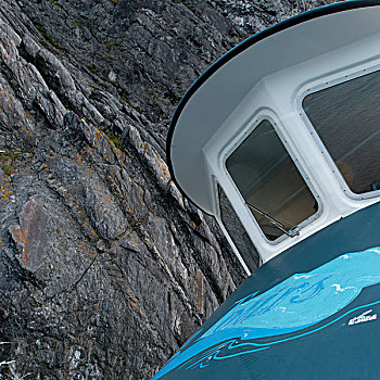 正面,挡风玻璃,格罗莫讷国家公园,纽芬兰,拉布拉多犬,加拿大