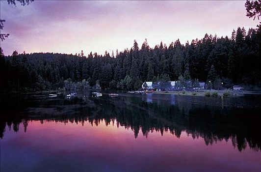 州立公园,湖,加利福尼亚,美国,北美
