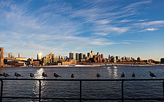 海鸥,栏杆,南,街道,海港,17码头,曼哈顿,天际线,布鲁克林,背影,纽约,美国