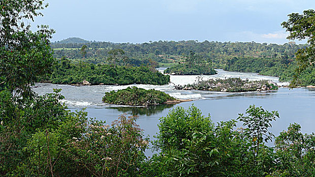 尼罗河,风景,靠近,乌干达