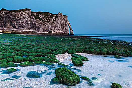 绿色,海藻,遮盖,岩石,海滩,黎明,薪水,上诺曼底大区,法国