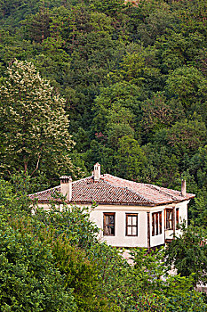 保加利亚,南方,山,梅尔尼克,房子