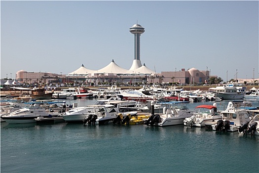 阿布扎比,码头,阿联酋