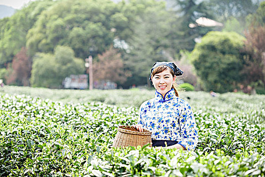 亚洲人,漂亮,女孩,种植园