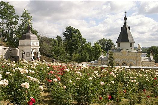 乌克兰,基辅,寺院,洞穴,途中,远处,教堂,玫瑰,树,蓝天,云,2004年