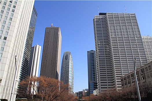 摩天大楼,新宿,日本