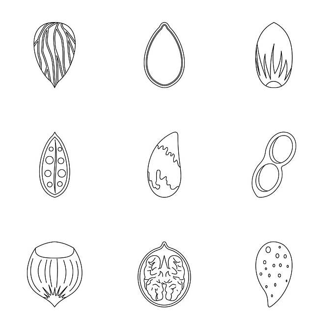 坚果图片_坚果高清图片_全景视觉