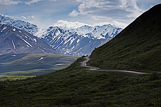 道路,德纳里峰国家公园,阿拉斯加,美国