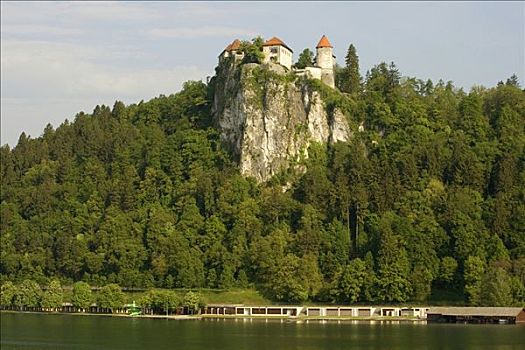 城堡,悬崖,流血,布莱德湖,斯洛文尼亚