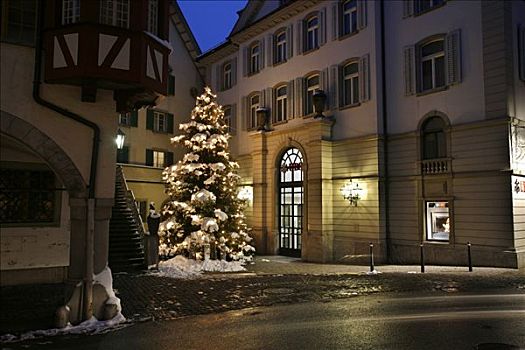 白色,圣诞节,圣诞树,市政厅,历史,中心,吐根堡,瑞士,欧洲
