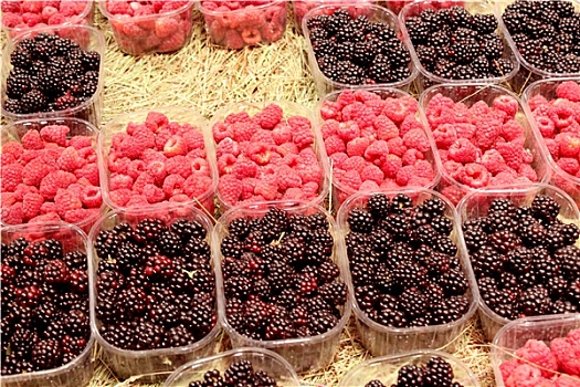 成熟,黑莓,树莓,店