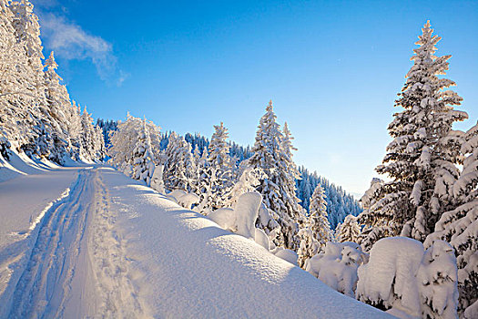 滑雪轨迹,道路,阿尔卑斯山,奥地利