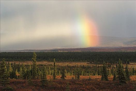 氛围,彩虹,德纳里峰,国家公园,阿拉斯加,美国