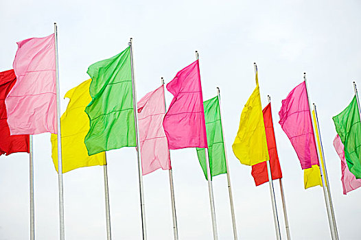 排,彩色,旗帜,旗杆,摆动,风,隔绝,白色背景