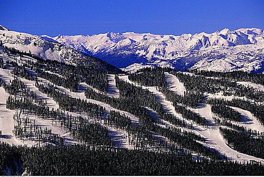 滑雪道,惠斯勒山,不列颠哥伦比亚省,加拿大