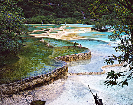 四川黄龙,水景,全景