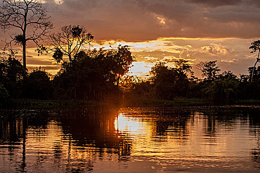 云,反射,日落,亚马逊盆地,秘鲁