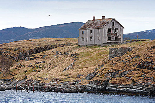 老,灰色,木屋,海岸,挪威