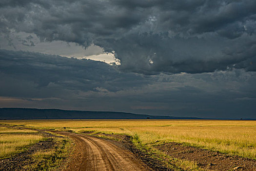非洲,肯尼亚,马赛马拉国家保护区,三角形,马拉河,盆地,乌云,日落,土路,大幅,尺寸