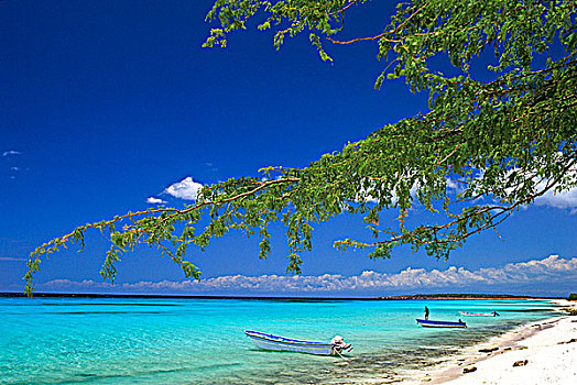 多米尼加共和国,国家公园,加勒比海