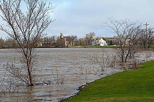 潮水,河,洪水,曼尼托巴,加拿大