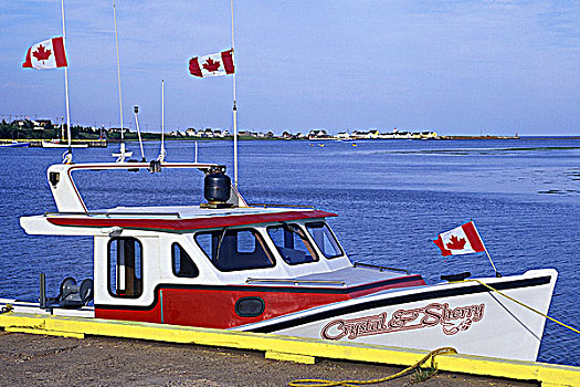 龙虾艇,白天,捕鱼,旅游,港口,爱德华王子岛,加拿大