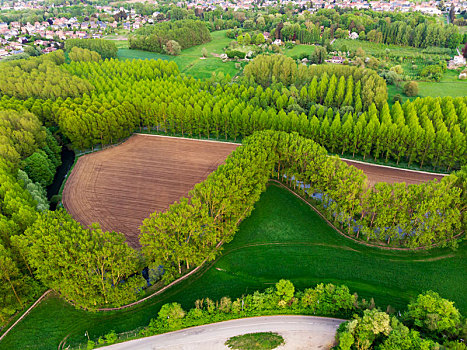 航拍比利时布鲁塞尔郊外的森林和原野丨forests,and,wilderness,on,the,outskirts,of,brussels