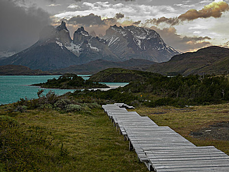 木板路,裴赫湖,托雷德裴恩国家公园,巴塔哥尼亚,智利