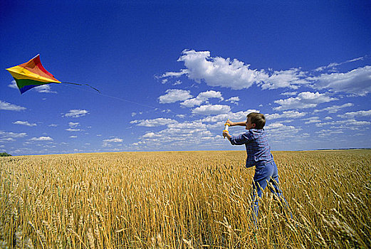 孩子,放风筝,地点,曼尼托巴,加拿大