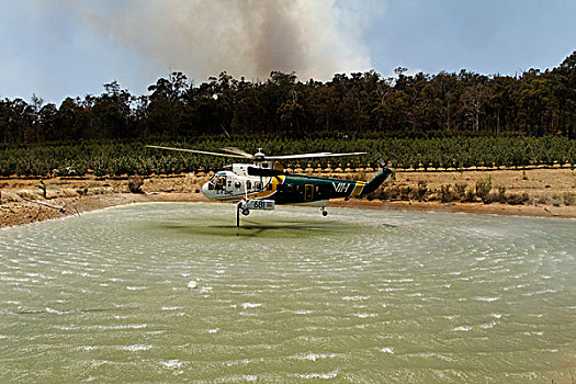 消防,直升飞机,水,坝,西南方,澳大利亚