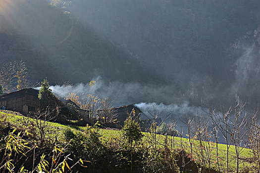 雾里村