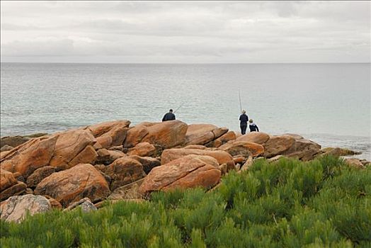 捕鱼者,岩石海岸,鹰,湾,西澳大利亚,澳大利亚