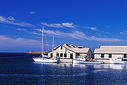 渔船,维多利亚,海洋,爱德华王子岛,加拿大
